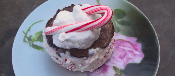 Dehydrated Chocolate Mousse & Peppermint Ice Cream Sandwiches